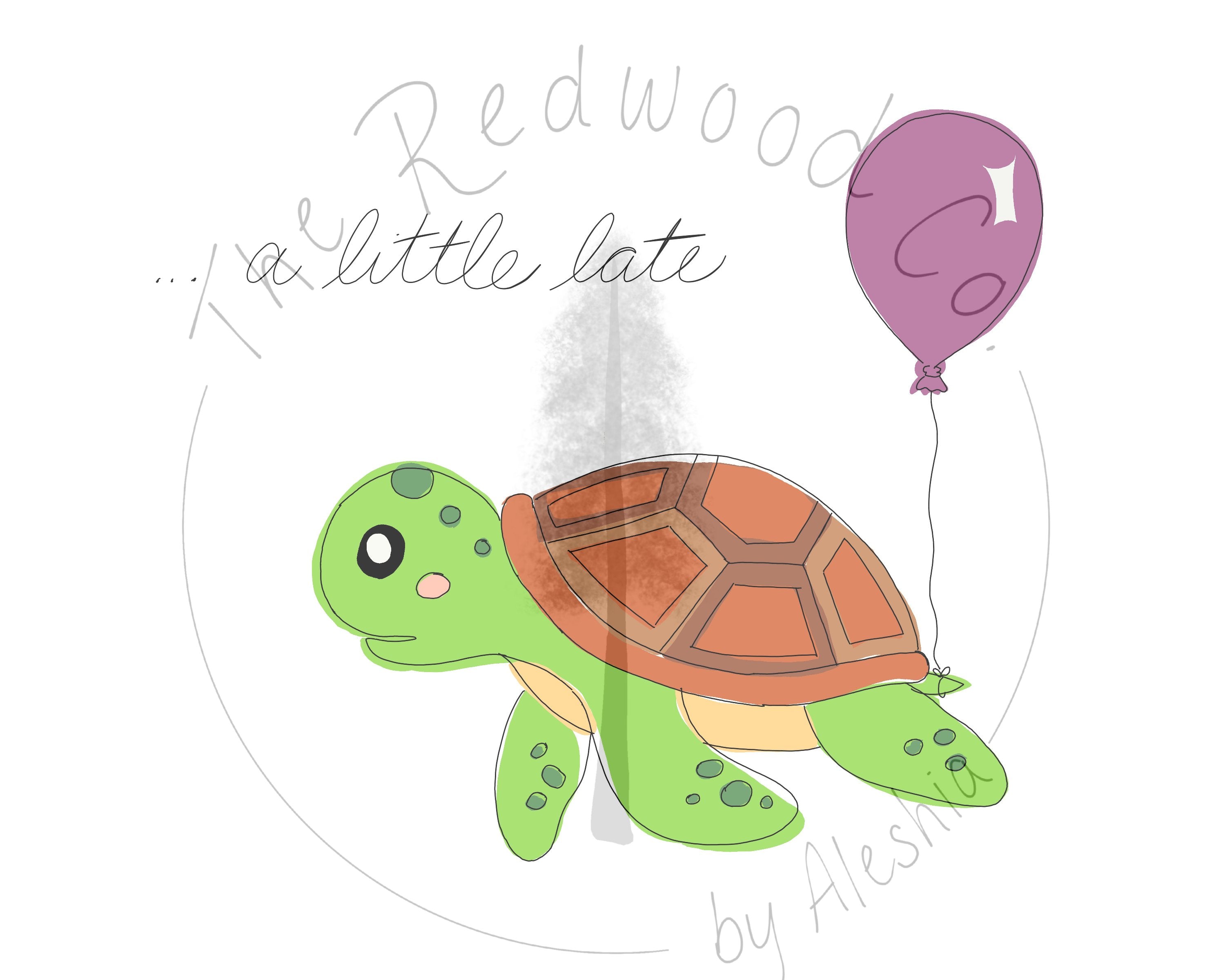 "... a little late" turtle Belated Birthday Card